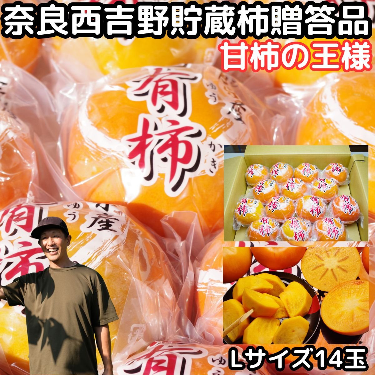 楽天市場】富有柿の木の通販