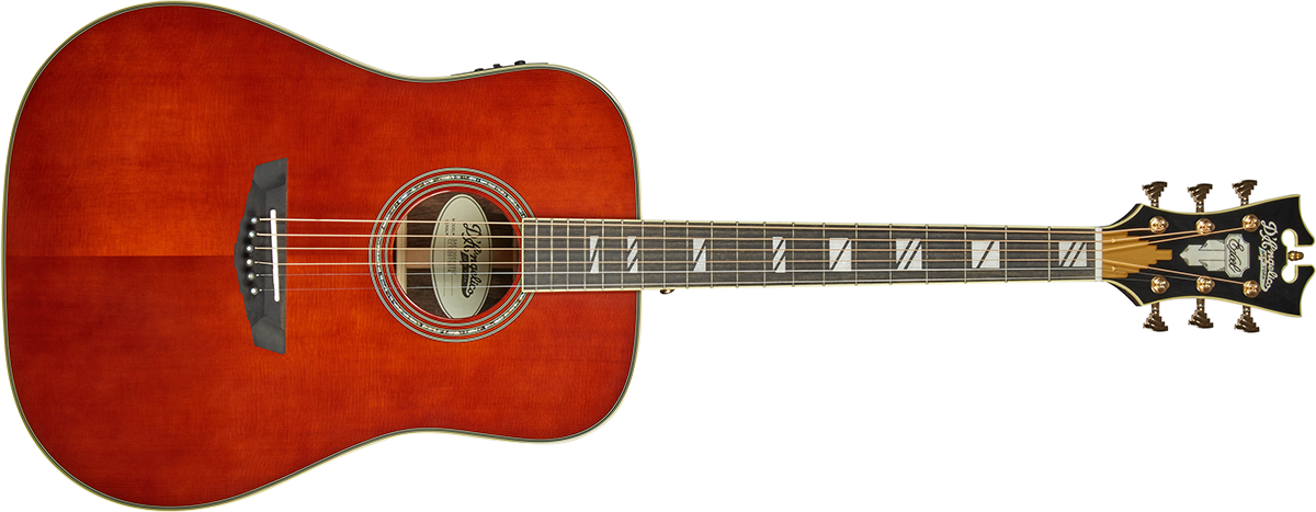 D'Angelicoのエレクトリック・アコースティック・ギター8モデルが⽇本