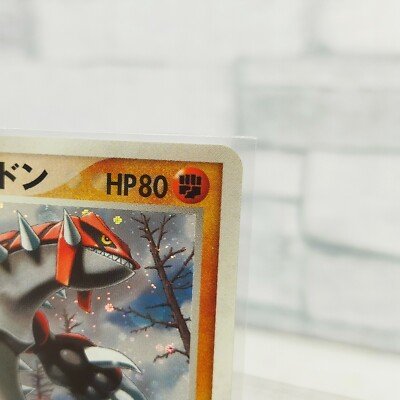 Pokemon card ____'s Groudon 020/PLAY Player's Club Promo Holo Rare