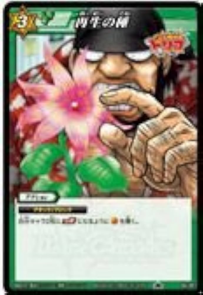 Amazon.co.jp: ミラクルバトルカｰドダス ミラバト トリコ TR04 再生の