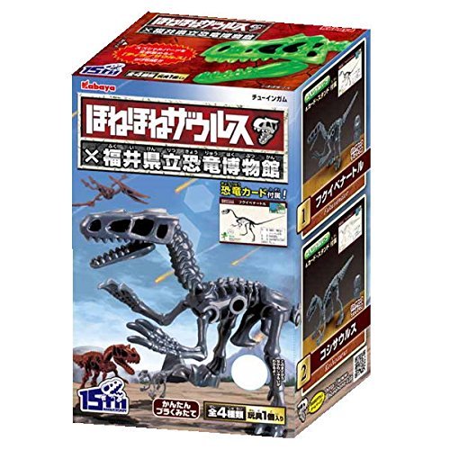 Amazon.co.jp: ほねほねザウルス×福井県立恐竜博物館 第2弾 【全4種