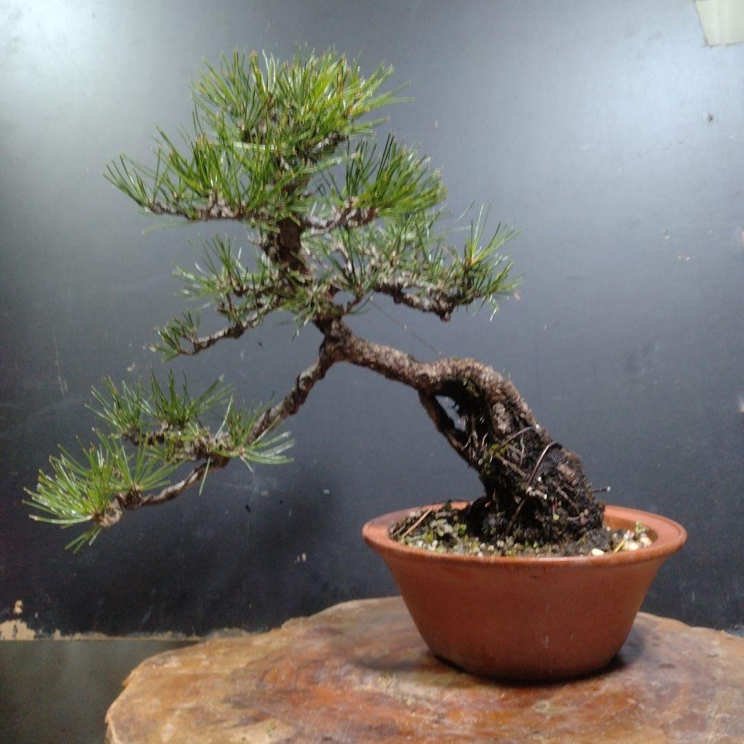 いっしー600RR Honda Cbr600rr CBR 600 RR RRY 2007 to 2012 Complete Lockset 1 Key